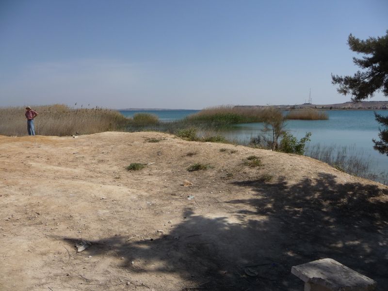 P1030333.JPG